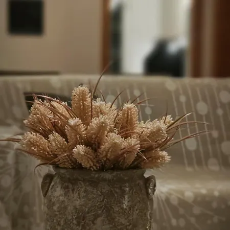 Lili's * Vlorë